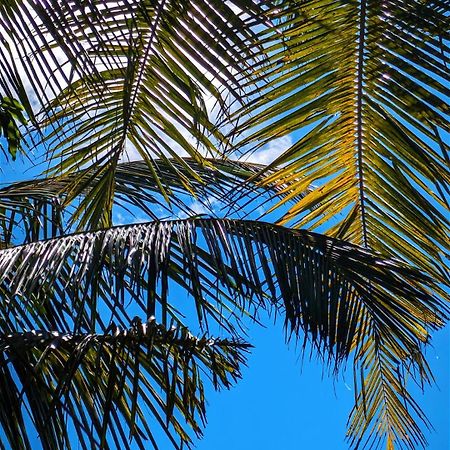 Hotel Hilltop House Arugam Bay Exterior foto